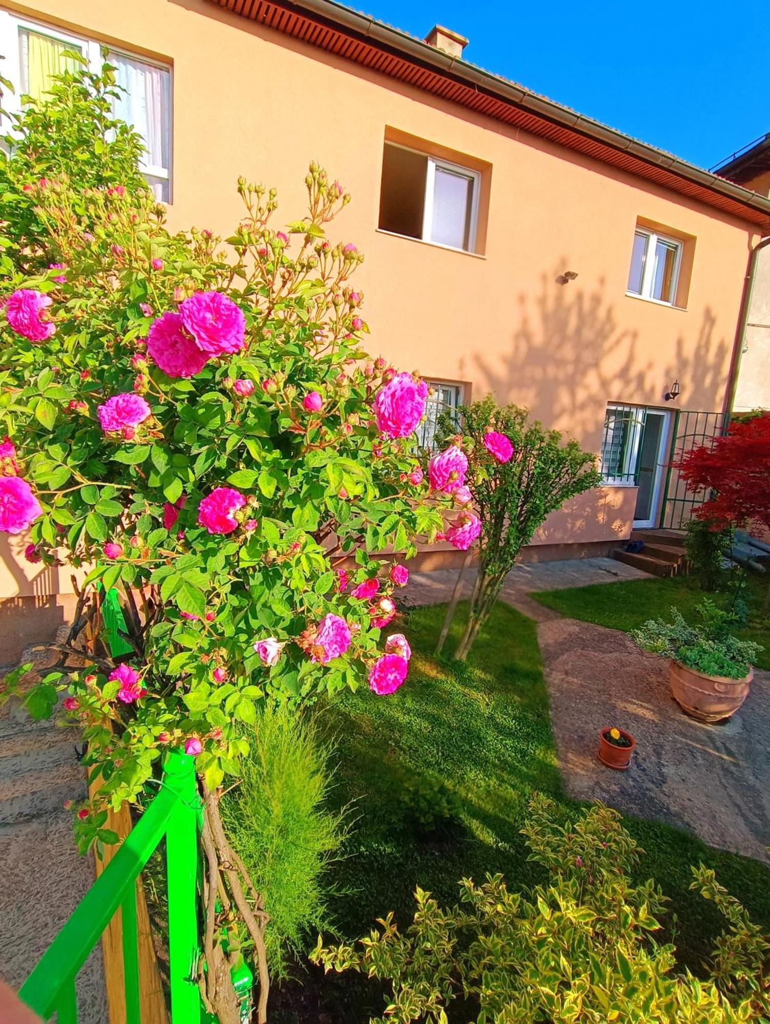 Апартаменти Garden Free Parking Сараєво Екстер'єр фото
